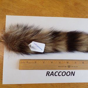 XL striped RACCOON TAIL keychain purse charm - real fur